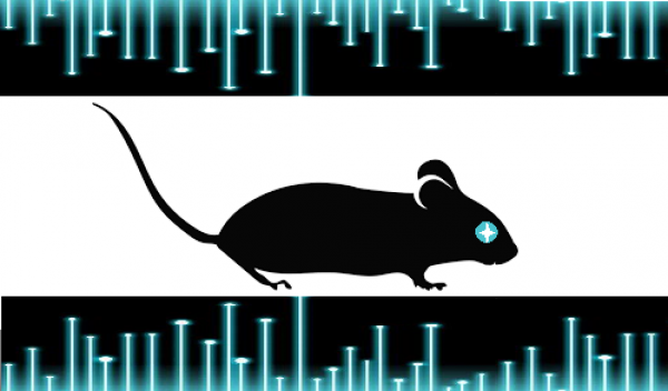 Cybermouse Flag